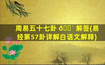 周易五十七卦 🐴 解签(易经第57卦详解白话文解释)